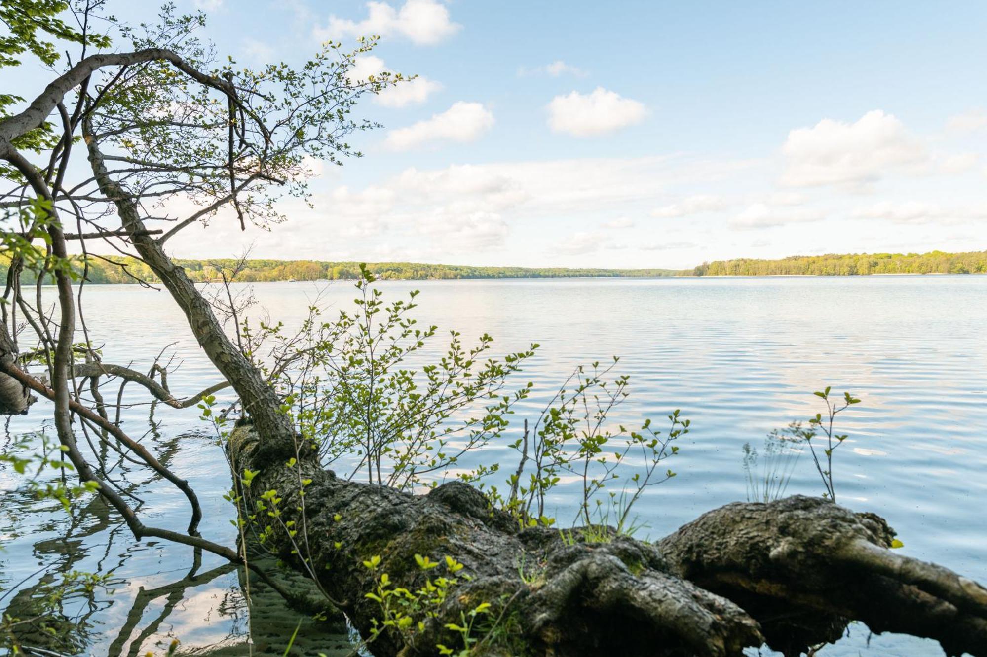 Budget Seezeit-Resort Am Werbellinsee Altenhof (Brandenburg) Exterior foto